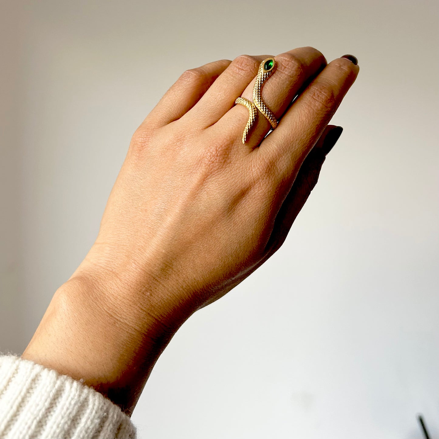 Anillo Asuan