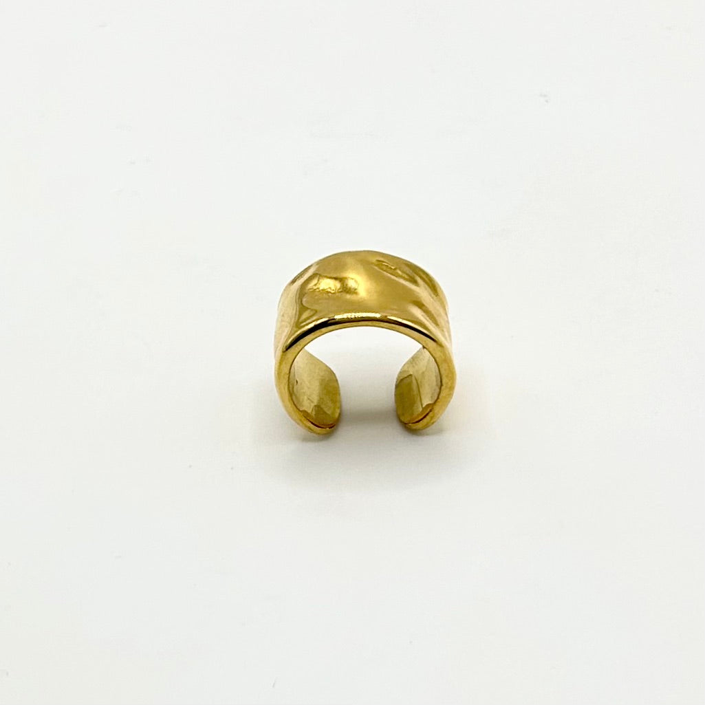 Anillo Victoria