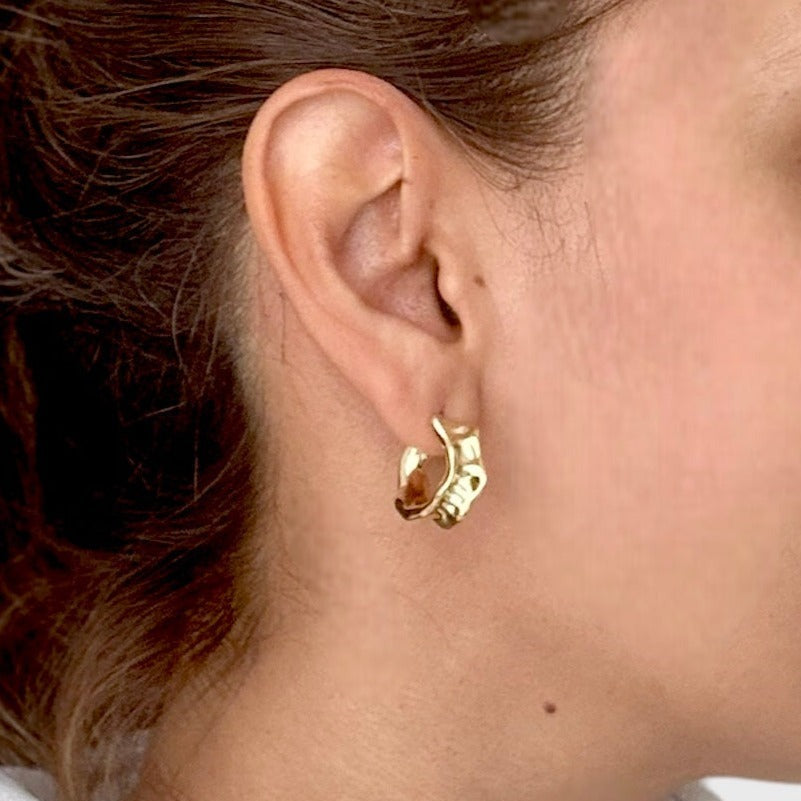 Aretes Lara