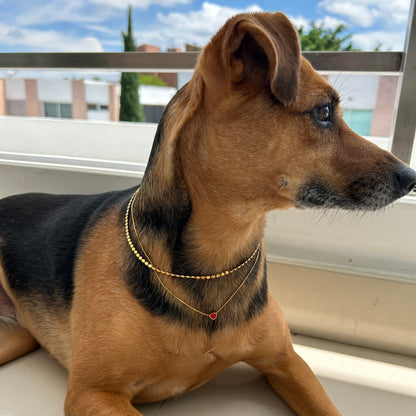 Collar Flame
