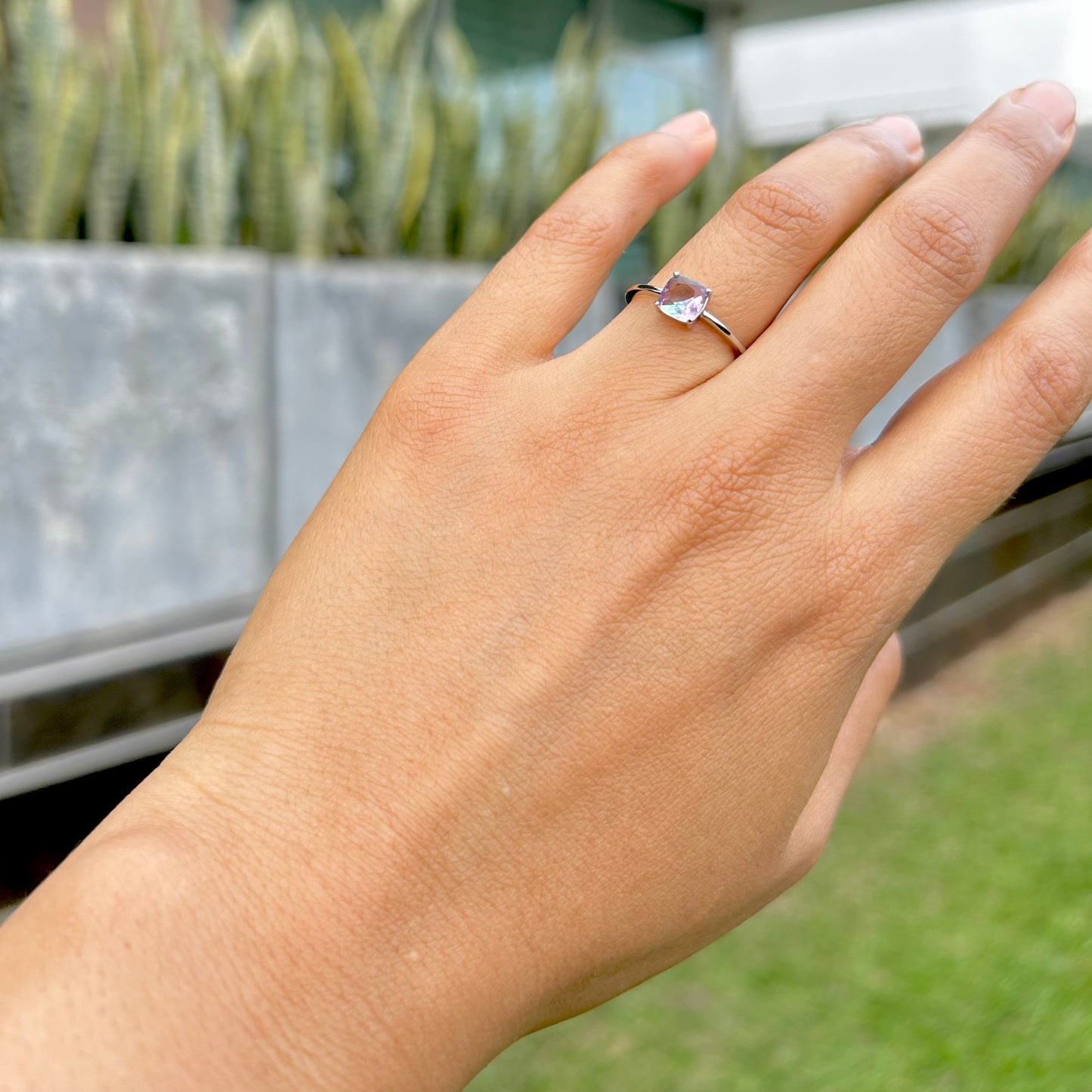 Anillo Sion