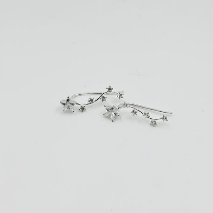 Aretes Orión