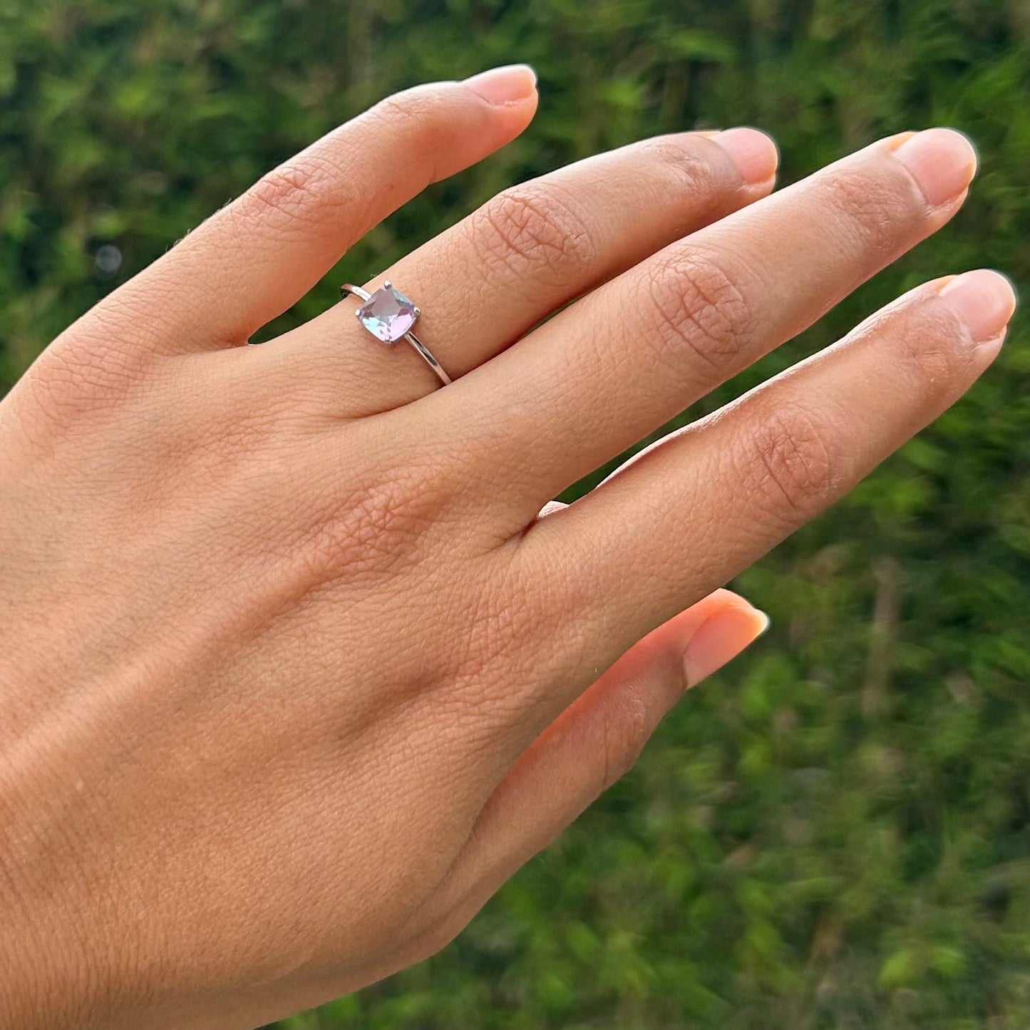 Anillo Sion