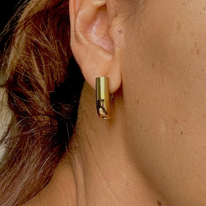 Aretes Ginebra