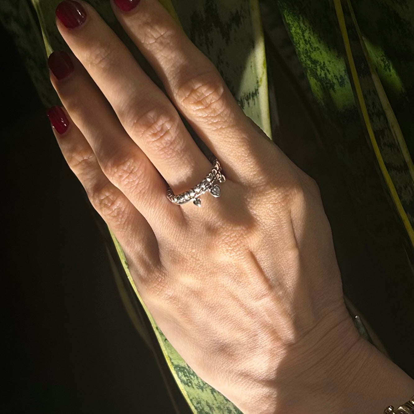Anillo Etéreo