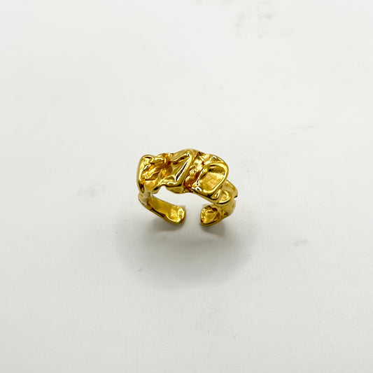 Anillo Nature
