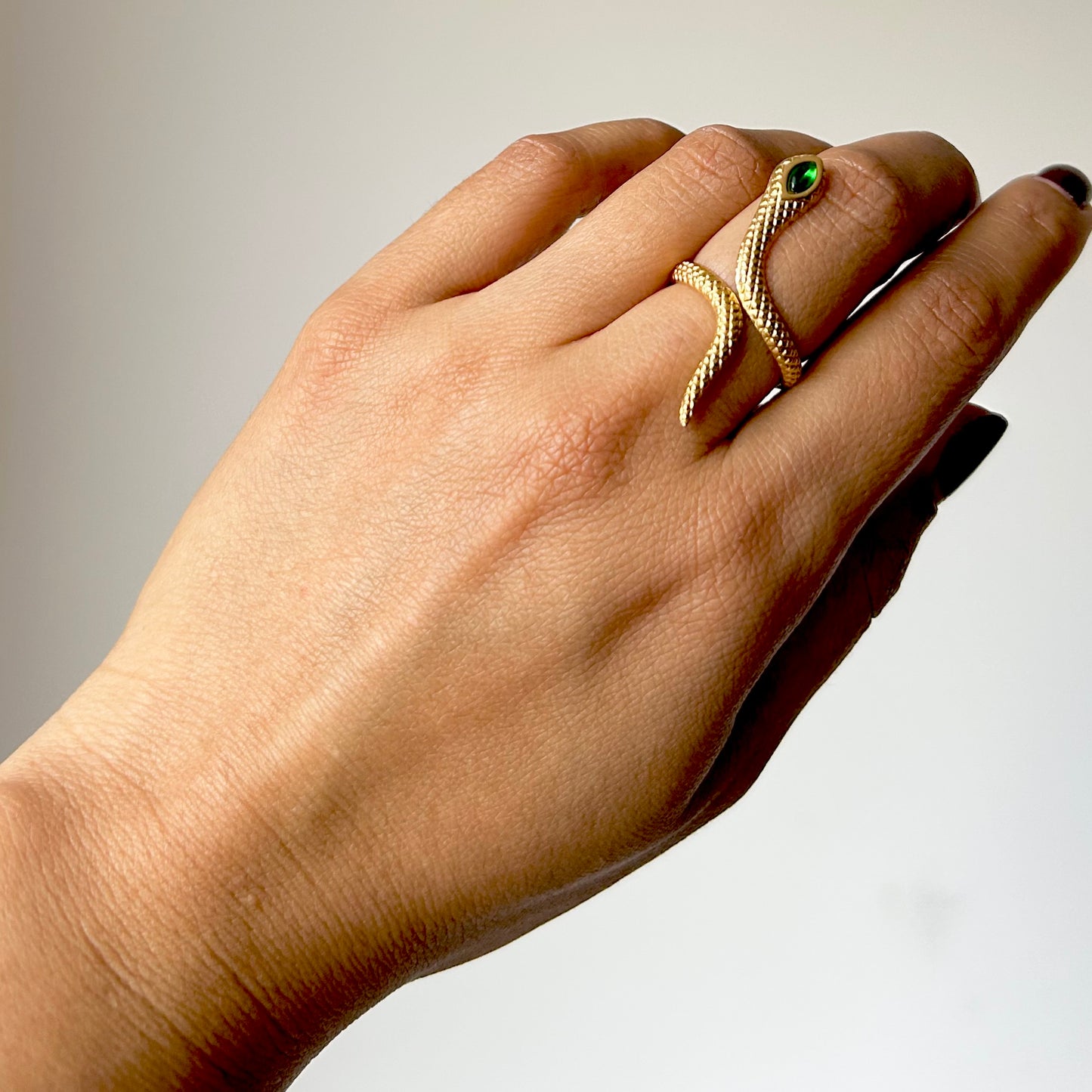Anillo Asuan