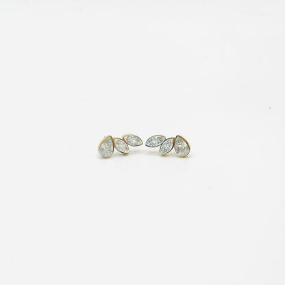 Aretes Wings