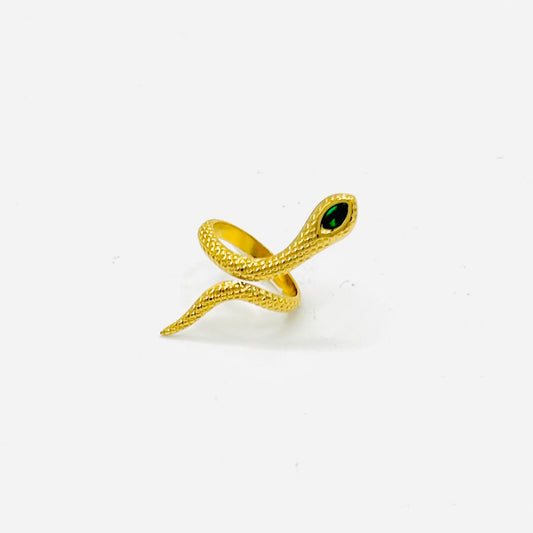 Anillo Asuan