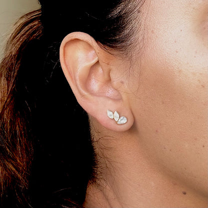 Aretes Wings
