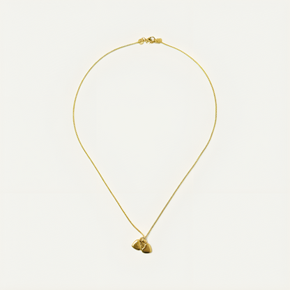 Collar Nova