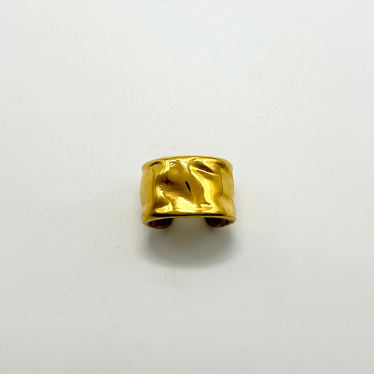 Anillo Victoria