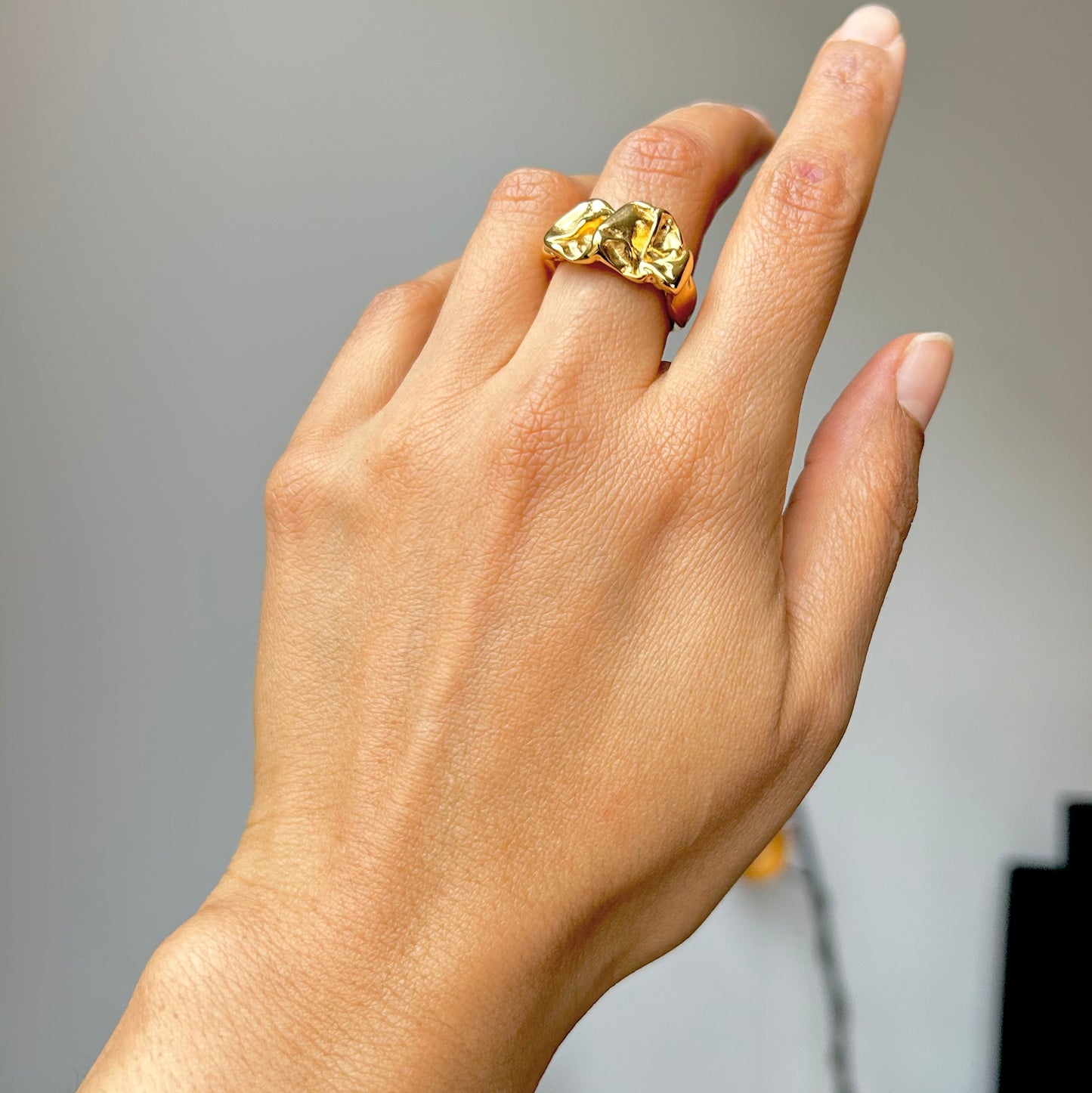 Anillo Nature