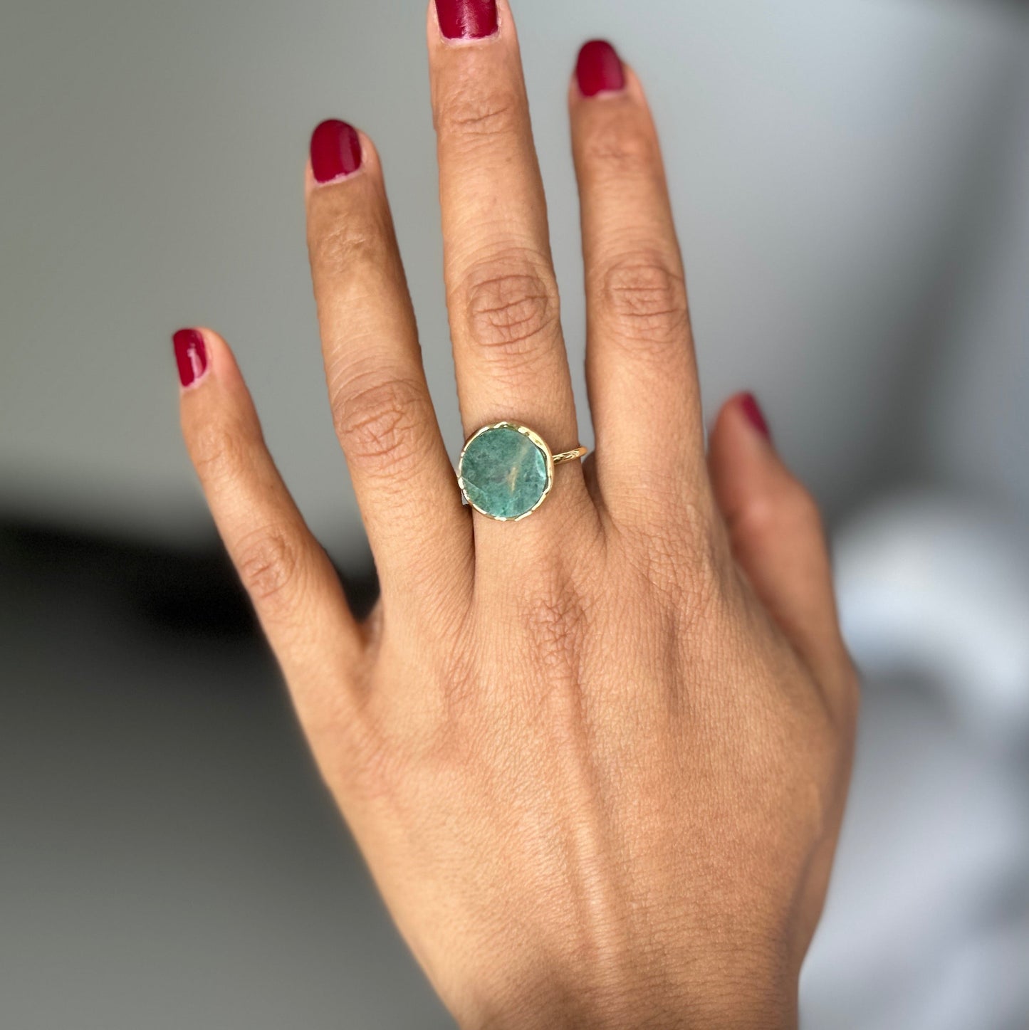 Anillo Terra