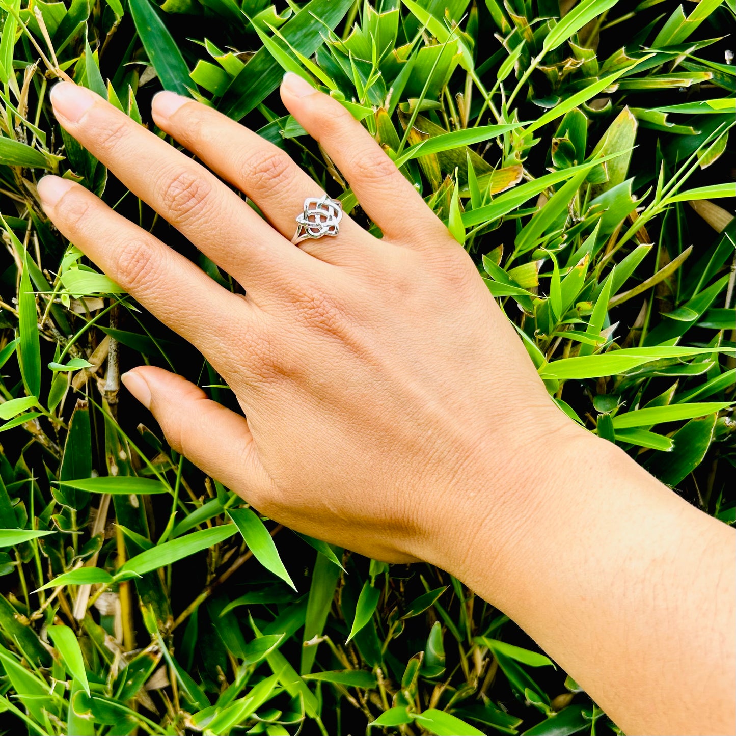 Anillo Celta