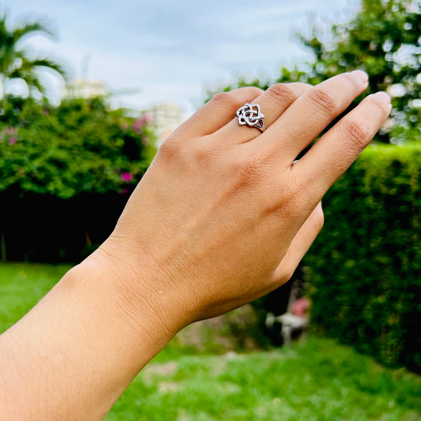Anillo Celta