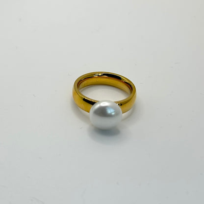 Anillo Shell