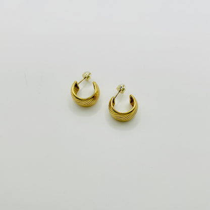 Aretes Oasis