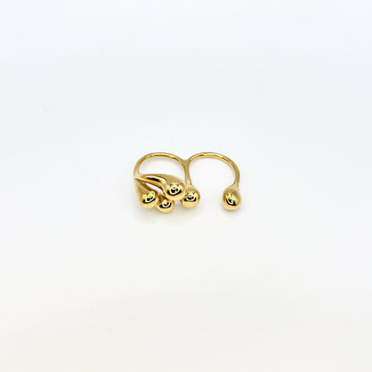 Anillo Florencia doble
