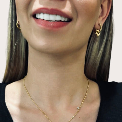 Aretes Dreams