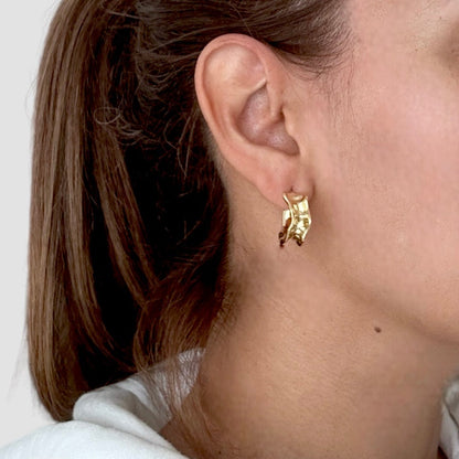 Aretes Lara